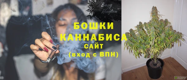 хмурый Вязьма