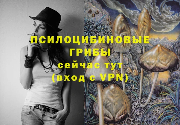 хмурый Вязьма