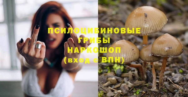 эйфоретик Горно-Алтайск