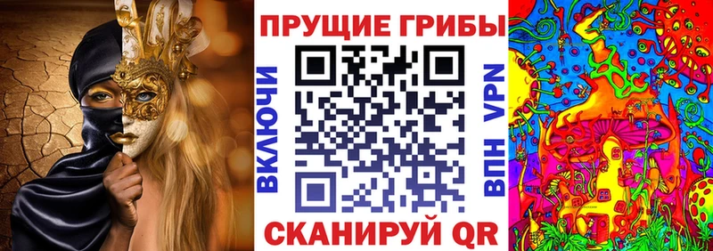 Галлюциногенные грибы прущие грибы  Купить  Кизел 